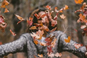 feng shui automne