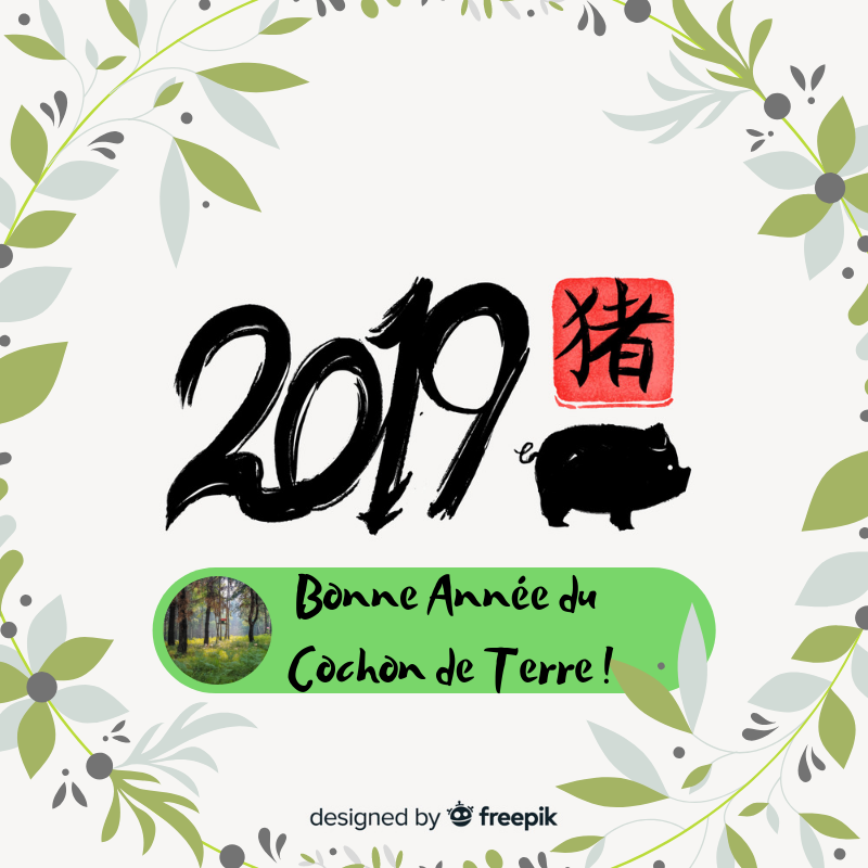 Belle et douce année du Cochon de Terre !