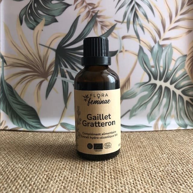 Gaillet grateron alcoolatur gallium aparine herboristerie producteur