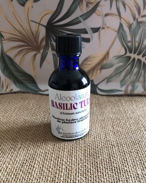 basilic tulsi alcoolature