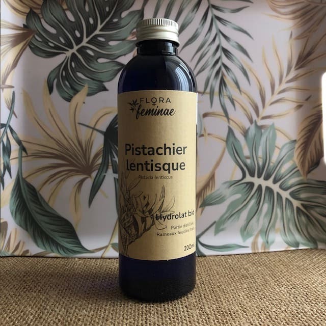Pistachier lentisque herboristerie charente maritime