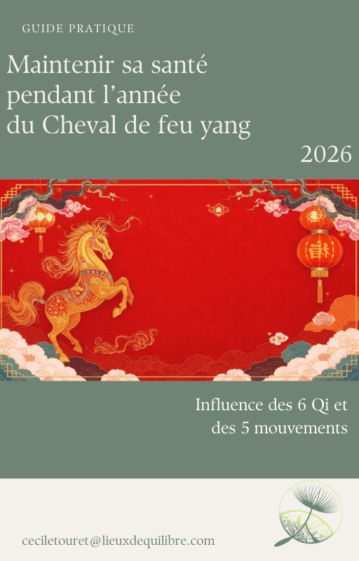 6 qi de l'année du cheval de feu