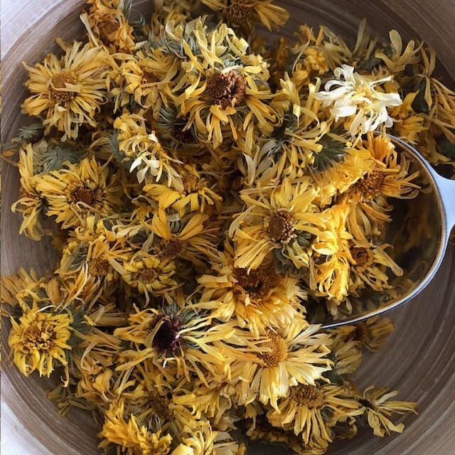 souci des jardins calendula souci officinal plante sèche herboristerie